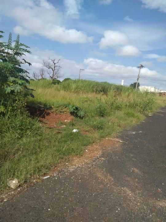 Foto 8 de 19 — Reclamação: “Onde deveria ser uma rua, só tem mato, lixo e água parada”, diz morador